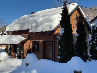 Villa Alpina Brezovice - 6