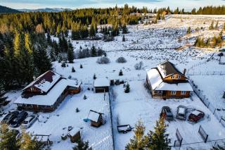 Cabana Refugiul Alpin Beliș - 1