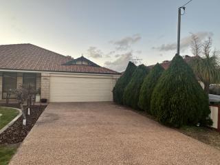 Country Oasis on Evans Street - Collie - 7