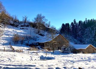 Gîte le creux de vennes - - 9