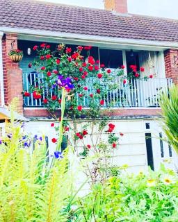 Cosy Apartment - Sleeps 4 - 1