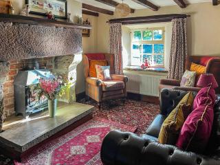 Mill Close Cottage - Chesterfield - 7