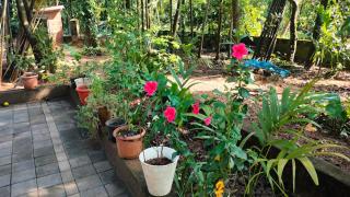 Sneh Beach Homestay - Wayangani Vengurla - Vengurla - 1