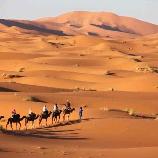Golden Sahara camp - Merzouga - 2