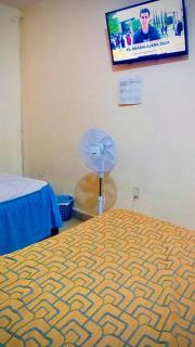 Los Nardos Hostel -pet friendly- - Città di Oaxaca - 6