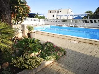 Apartments House Rina - 1 - Vodice - 1