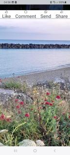 Elmer belle beach Bognor regis accommodation - Yapton - 7