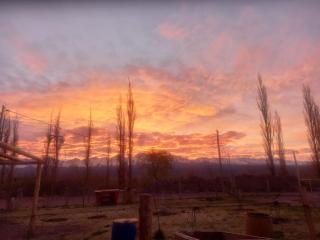 Paz cordillerana - Barreal - 1