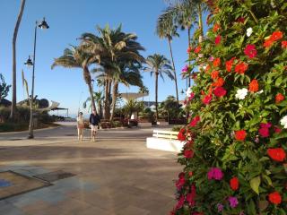 Apartamentos Turísticos Casa de La Borrega - Estepona - 1