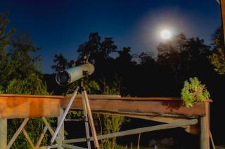 Arriendo cabaña en Vilches - 1