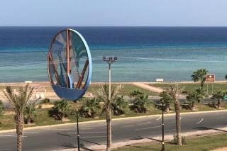 نورس الشمال - أملج - Umm Lajj - 5