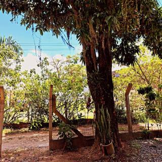 Morada do Sossego - 5