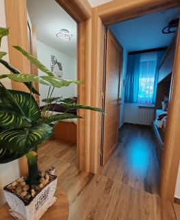 Apartman MPS Kopaonik-Free Spa - Kopaonik - 3