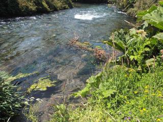 Cabaña Hornopiren 1 - 7