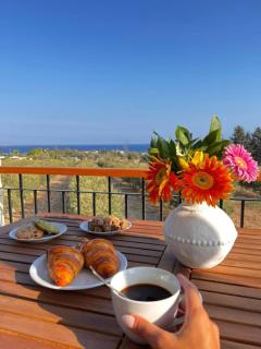 Eleonas Seaview Cottages - 9