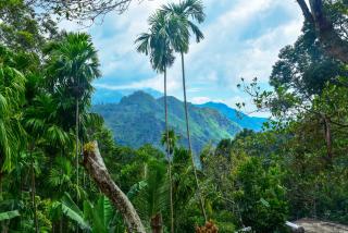 Dawn View Home Stay - 0
