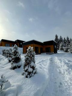 Carpathians View - Krivopolʼye - 9