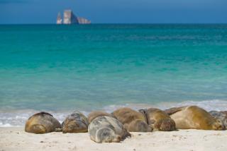 Suite Mar, just like sleeping at the beach - San Cristóbal - 3