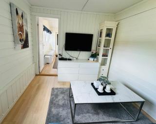 Wigart cosy apartment - Tønsberg - 7