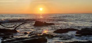 Los tisseaux - Casares - 3