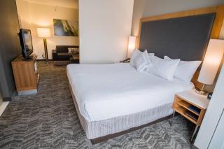 SpringHill Suites by Marriott Winston-Salem Hanes Mall - Winston-Salem - 5