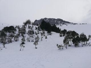 Studio de montagne familial - Bagnères-de-Bigorre - 7