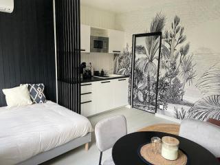 Nouveau Studio Oasis - Chasseneuil-du-Poitou - 0