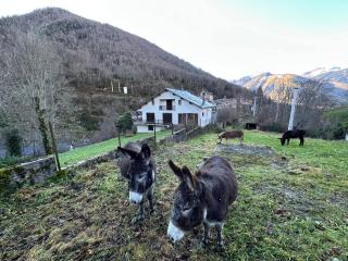 Chalet ARTIGALAS - Eaux-Bonnes - 6