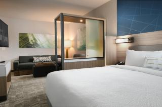 SpringHill Suites Dallas DFW Airport South/CentrePort - Fort Worth - 4