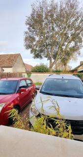 Maison Cosy Coco 1h Paris et 2h plages Normandie - - 1