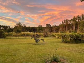 Mill Creek Farm - - 5