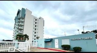 Dolphin by the Sea - Luquillo - 9