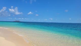 Dolphin by the Sea - Luquillo - 3
