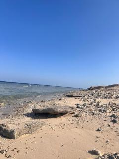 Apartman ReLa Port Ghalib, new apartment - 7
