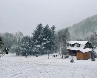 Blue Hummingbird Cabin - Banner Elk - 6