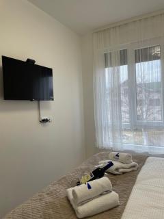 Apartment Luka Lux - Vrnjačka Banja - 7
