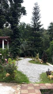 Vintage Coffee Estate 3 Bedrooms 1 Cottage - Wayanad - 5