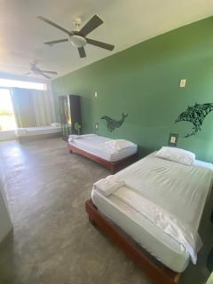 Hummingbird Inn Pedasi - Punta Toro - 7