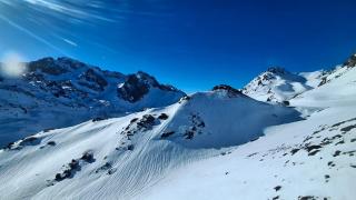 Petit nid au Pic du Midi - Bagnères-de-Bigorre - 2