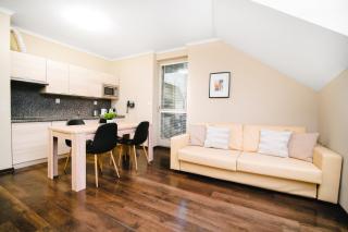 Spirit Harrachov Superior Wellness Apartment - FREE Wellness, Wifi, Parking - 4