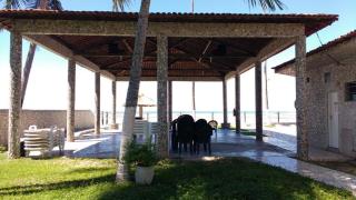 FLAT Maragogi beira mar - Maragogi - 9