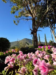 Green Hill Resort Phurue - 7