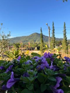 Green Hill Resort Phurue - 8