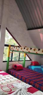 Los ocobos suites - Murillo - 5