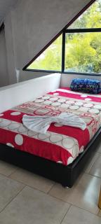 Los ocobos suites - Murillo - 4
