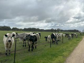 Glamping at Beltie Park - - 3