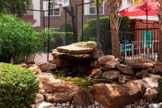 TownePlace Suites Dallas Las Colinas - 6