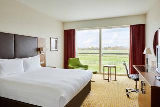 Lingfield Park Marriott Hotel & Country Club - Lingfield - 6