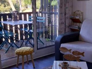 Studio rénové à 150m de la plage avec vélos et animaux acceptés - FR-1-494-199 - 9