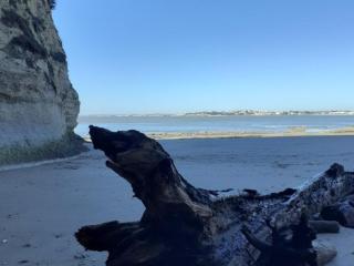 Studio rénové à 150m de la plage avec vélos et animaux acceptés - FR-1-494-199 - 2